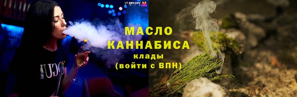 крисы Вязьма