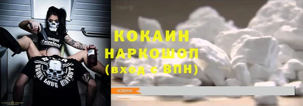 крисы Вязьма