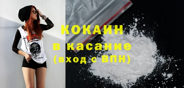 крисы Вязьма
