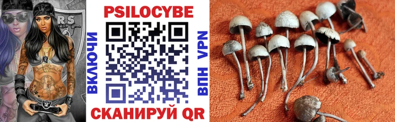 Купить  Котельнич  Псилоцибиновые грибы мицелий 